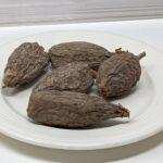 African Alligator Pepper
